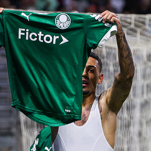 Efeito Fictor no Palmeiras