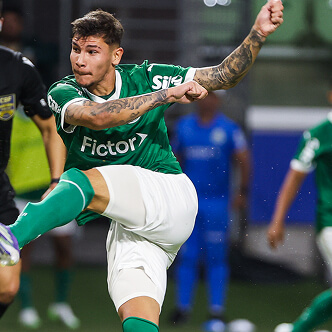 Efeito Fictor no Palmeiras