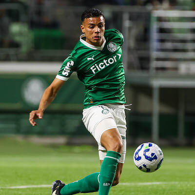 Efeito Fictor no Palmeiras