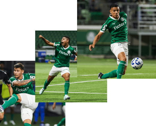 Efeito Fictor no Palmeiras