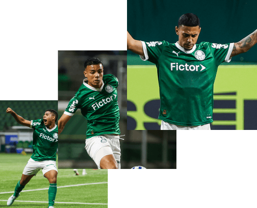 Efeito Fictor no Palmeiras