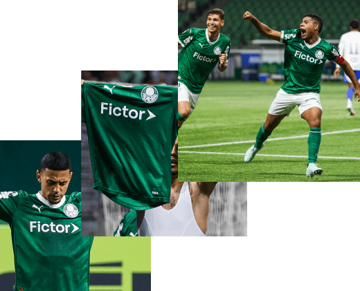 Efeito Fictor no Palmeiras