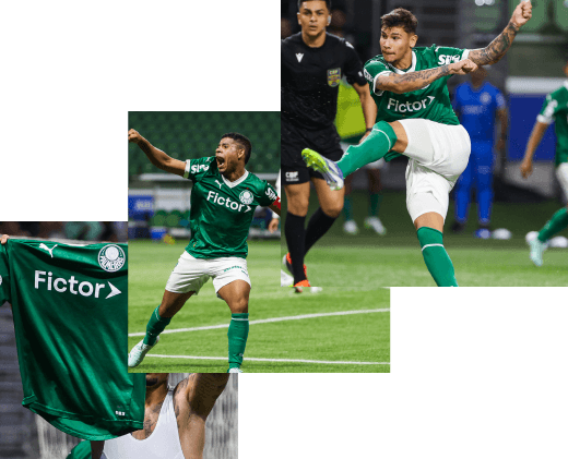 Efeito Fictor no Palmeiras