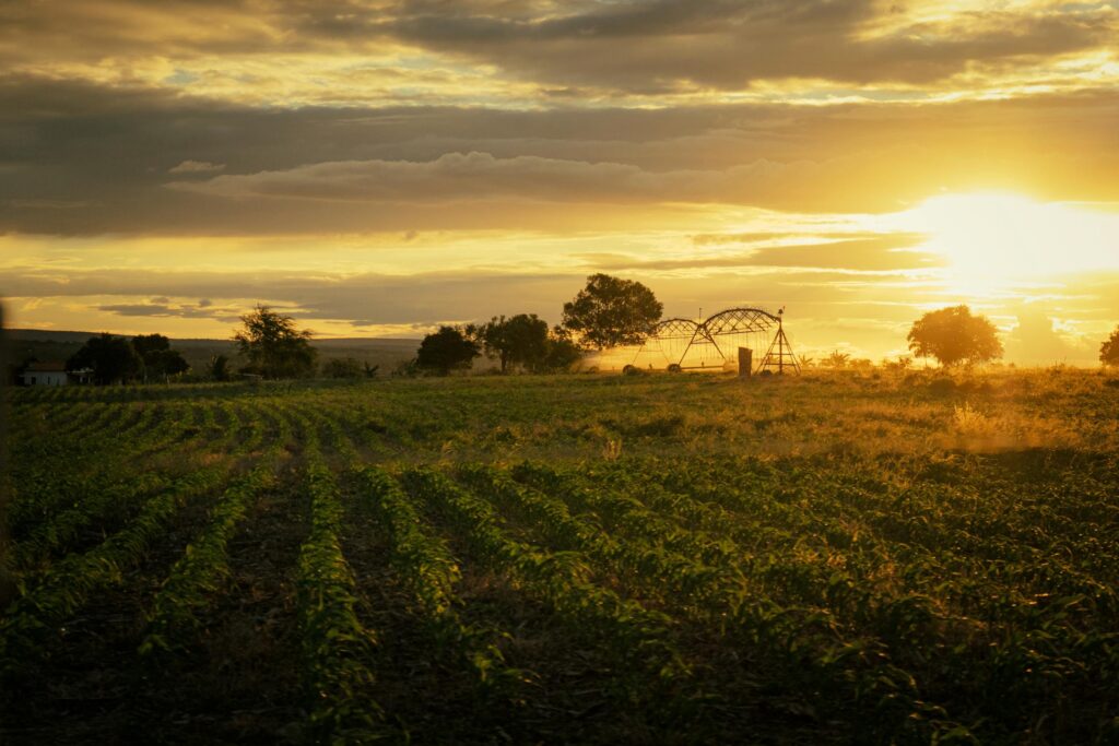 Clean energy is enabling more sustainable irrigation projects in Brazil