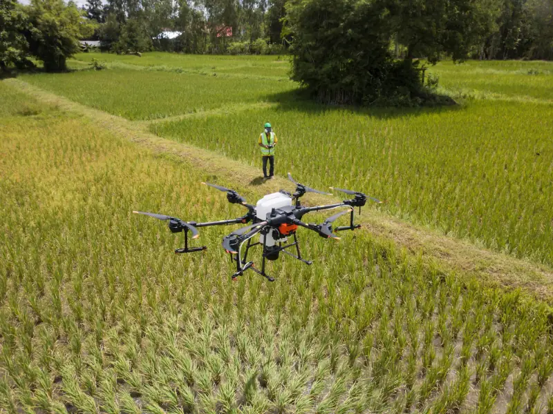 Drone agrícola sobrevoando lavoura com automação agrícola e agricultura conectada, controlado remotamente por operador. Tecnologia de drones no campo.
