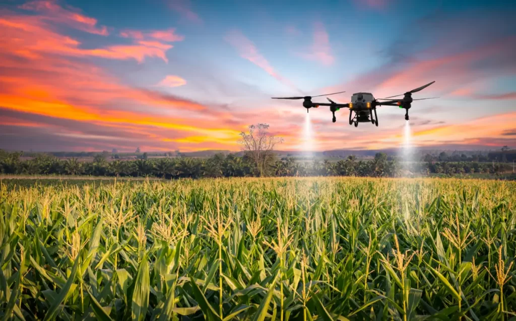 Drone pulverizador aplicando insumos com precisão em lavoura de milho ao pôr do sol, tecnologia que aumenta o ROI no agro