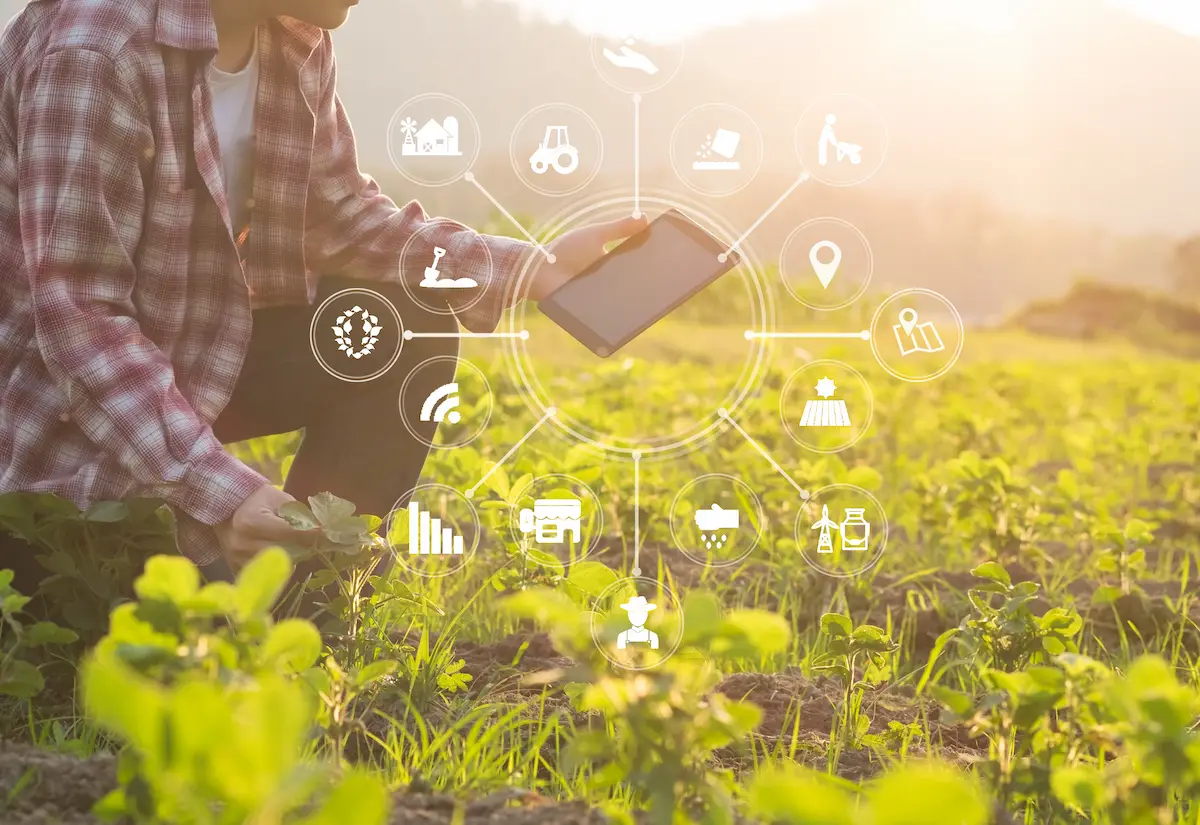 Produtor rural utilizando tecnologia IoT com sensores inteligentes para decisões baseadas em dados no agronegócio. É o smart farming na prática.
